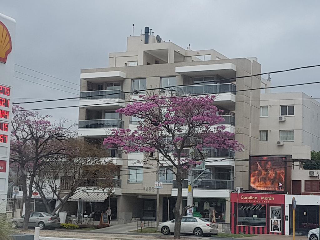 Apartamento Reyes Catolicos Daire Salta Dış mekan fotoğraf